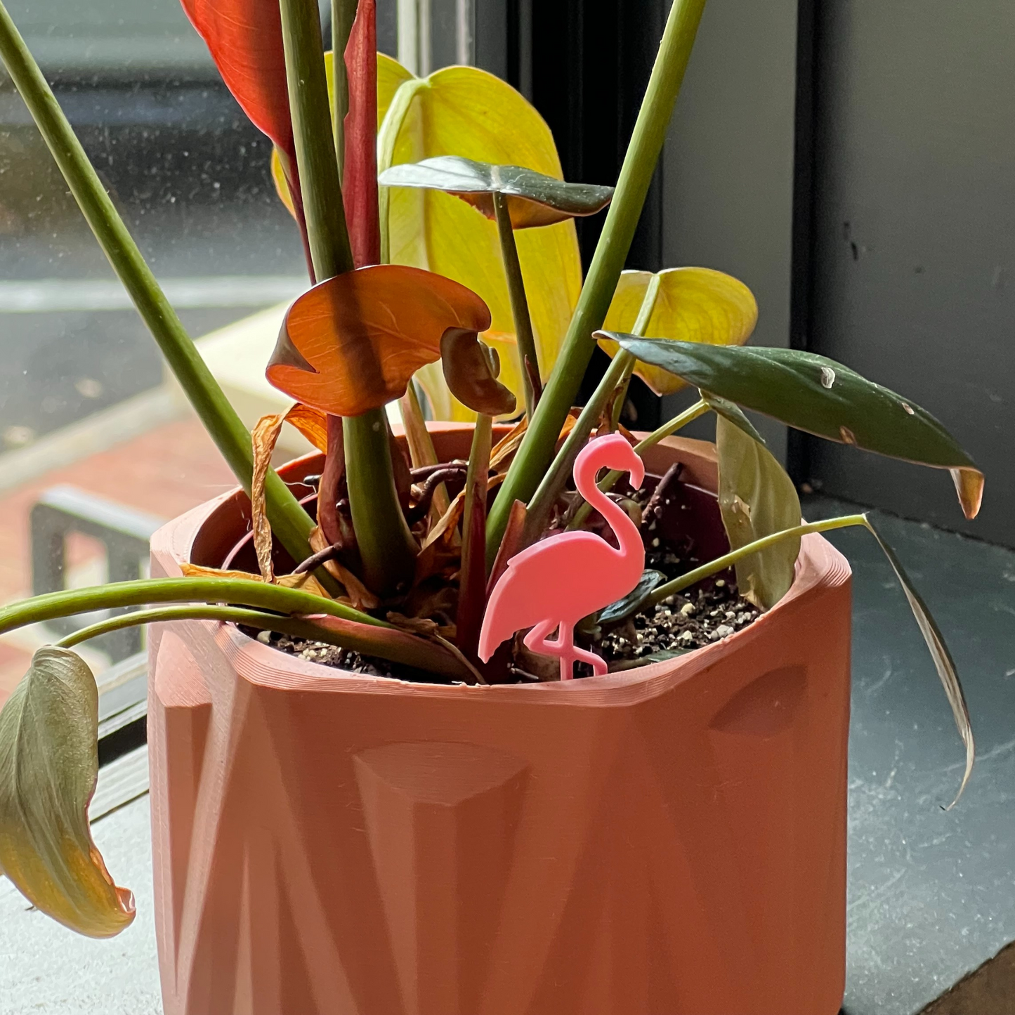 Small potted plant with a Flamingo Plick in front of a window