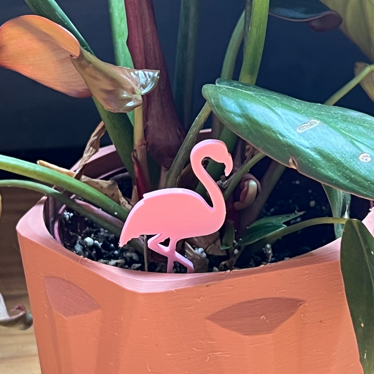 Small potted plant with a Flamingo Plick