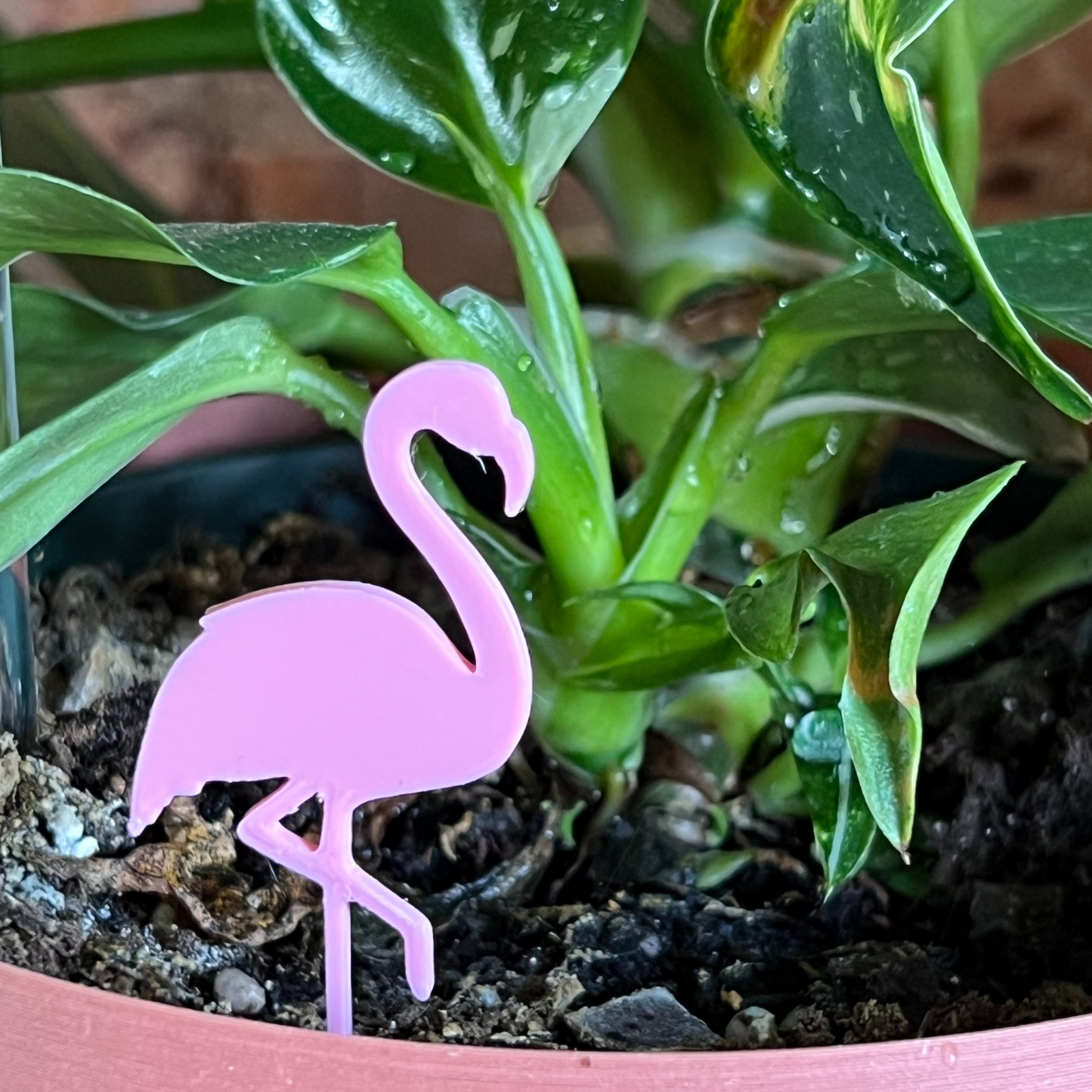 potted plant with a Flamingo Plick