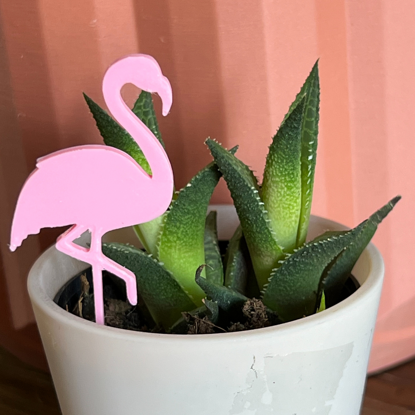 Small potted plant with a Flamingo Plick