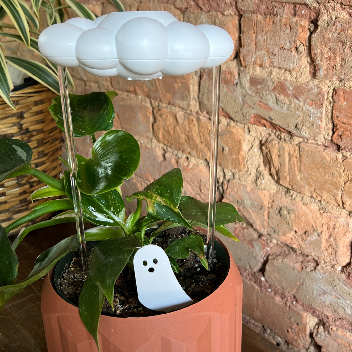 Potted plant with a white ghost-shaped Plick and a dripping rain cloud against a brick wall.