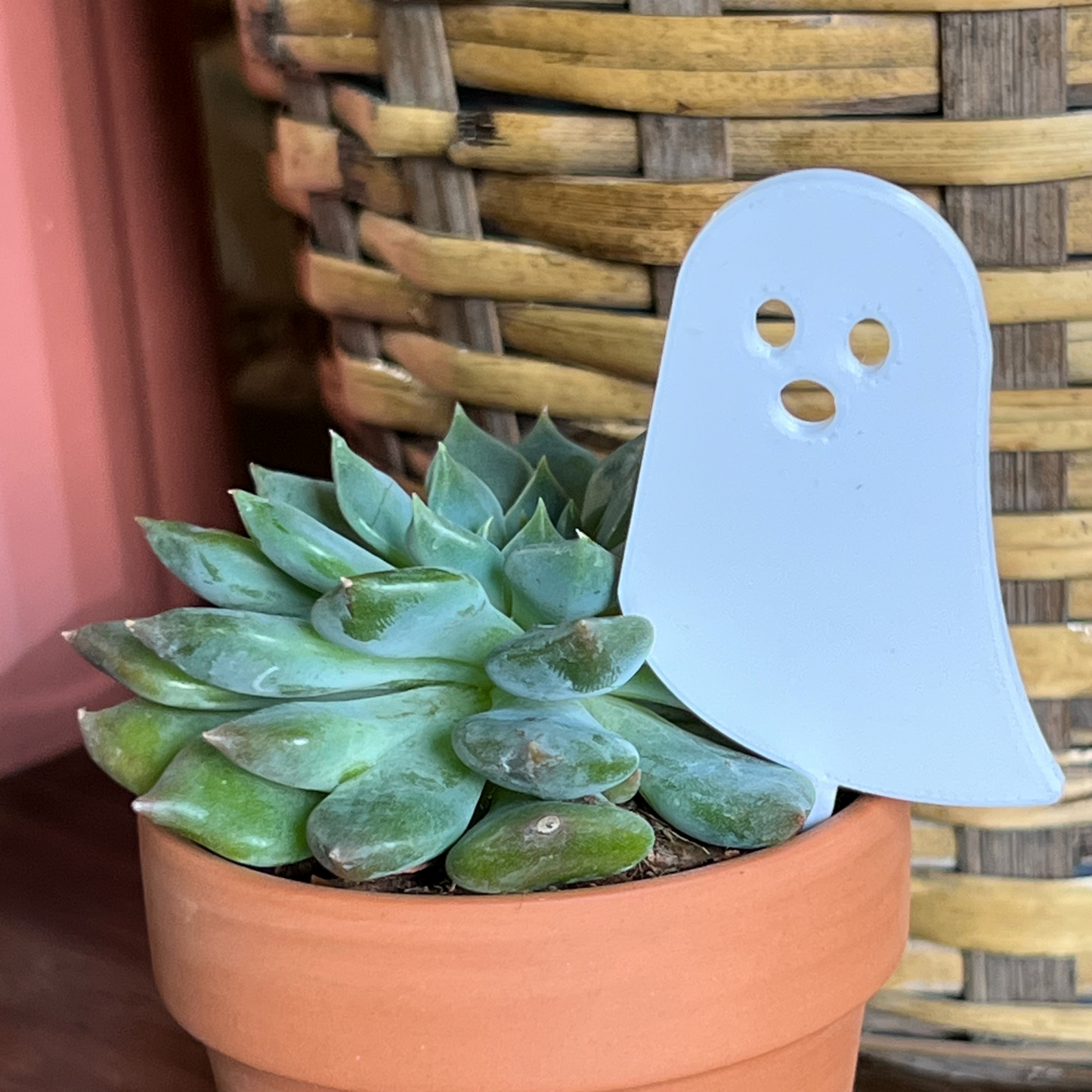Small potted plant with a white ghost-shaped Plick on a wooden surface