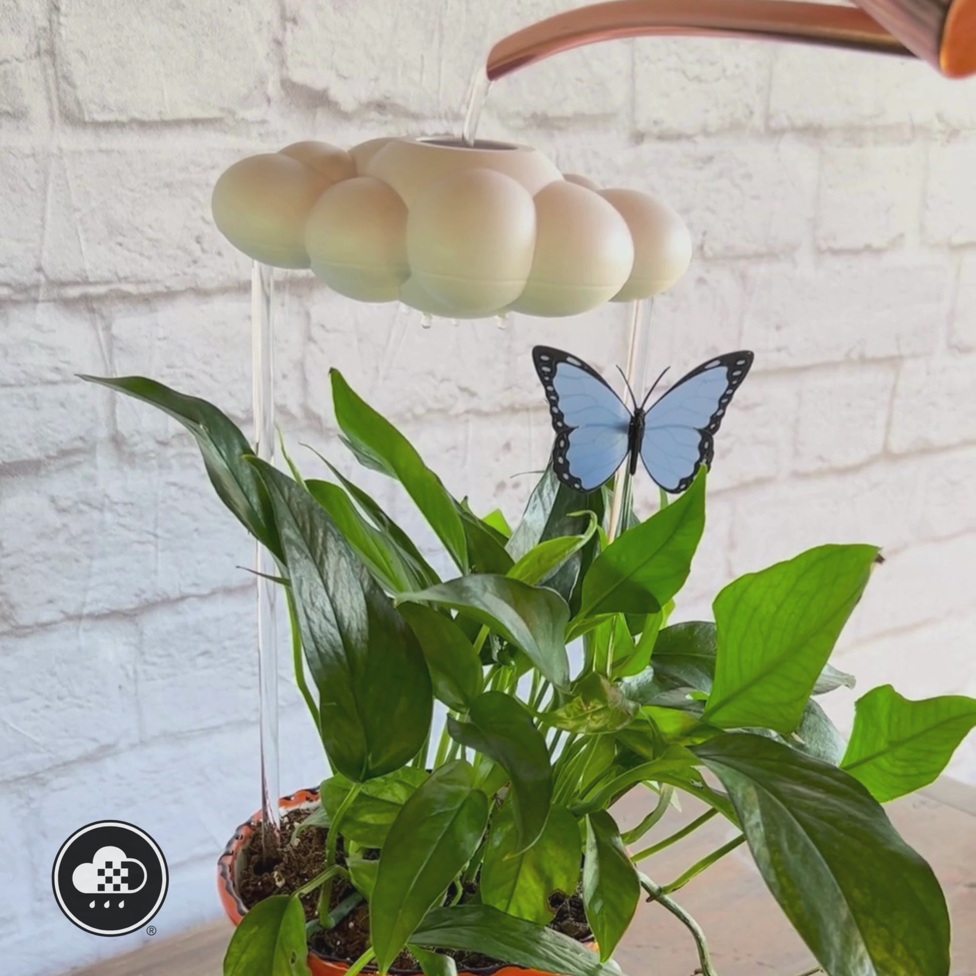 Original Dripping Rain Cloud with Blue Butterfly Charm