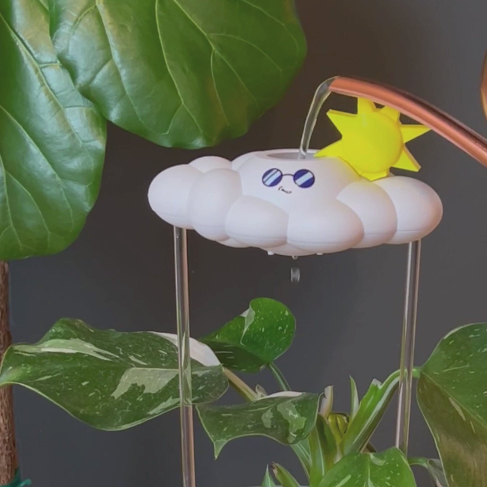 Cooper the Cloud in use