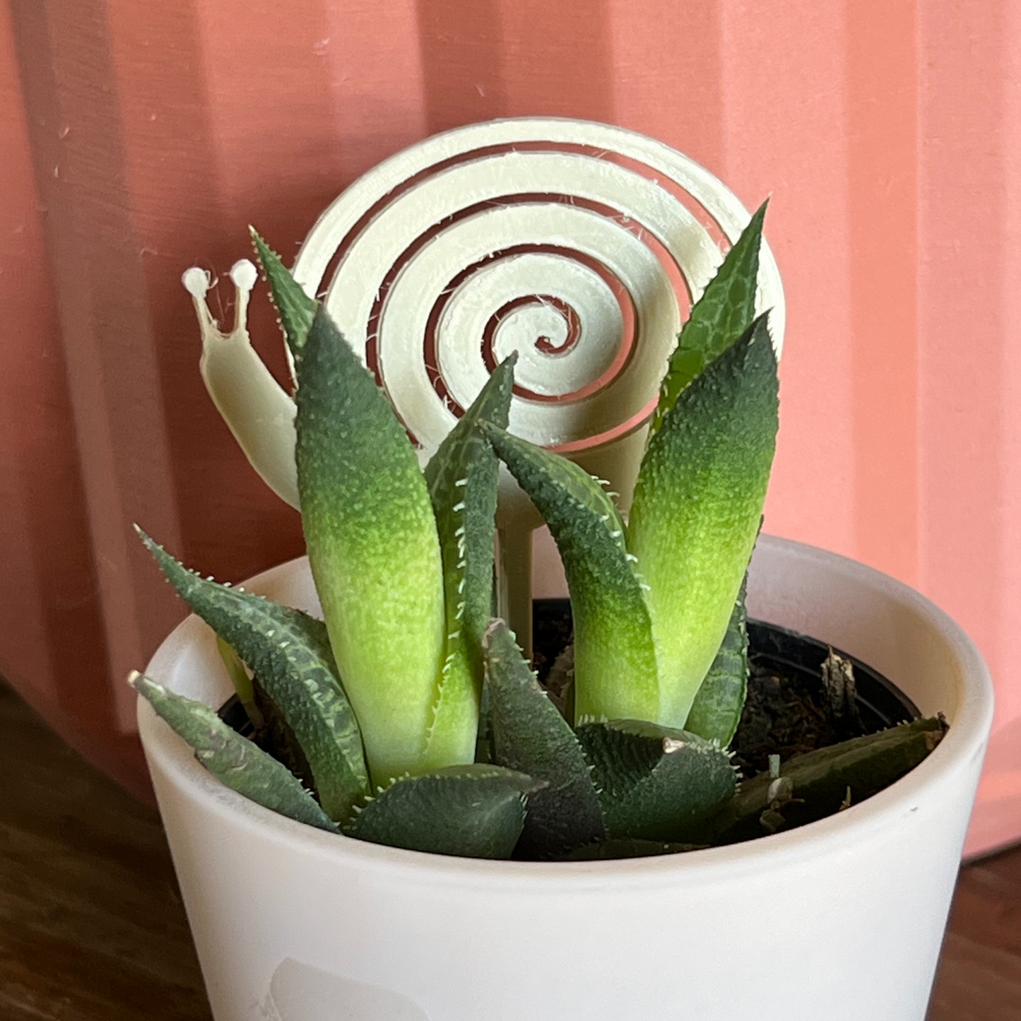 Small potted plant with a snail Plick