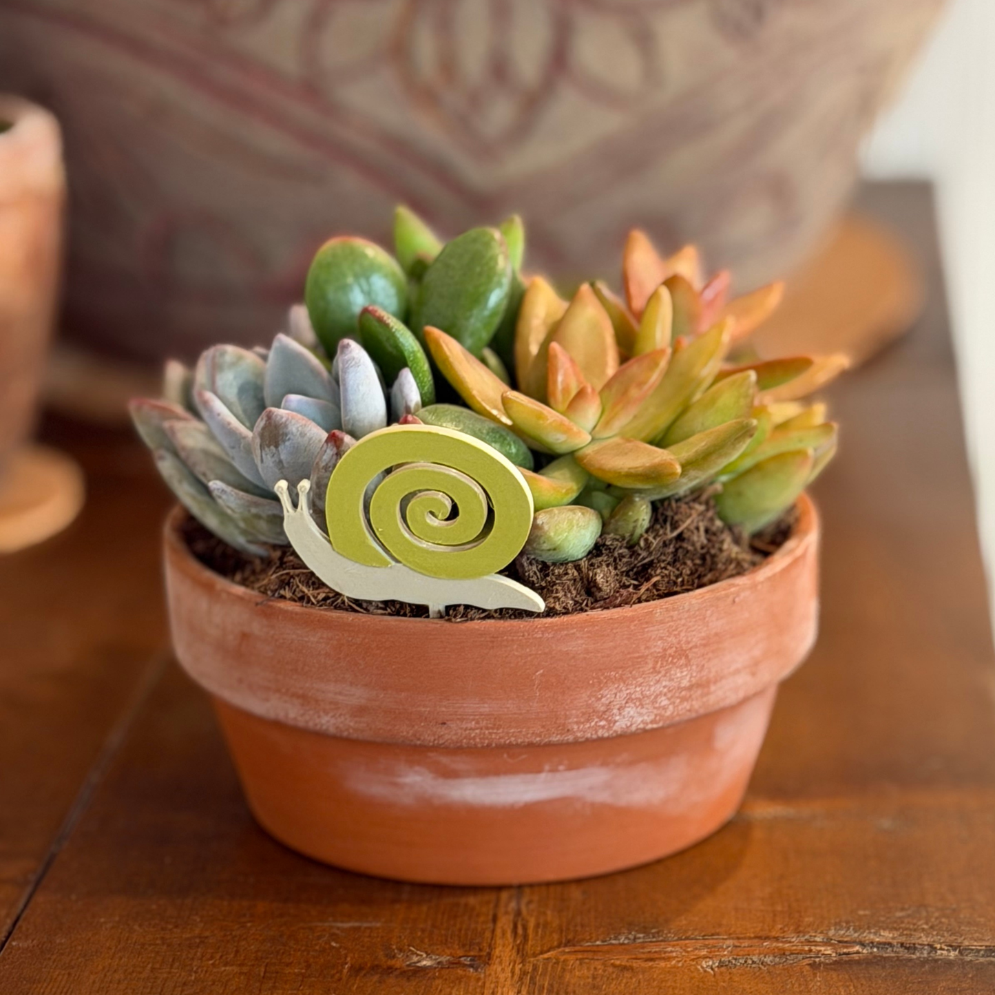 Snail Plick (5pack)