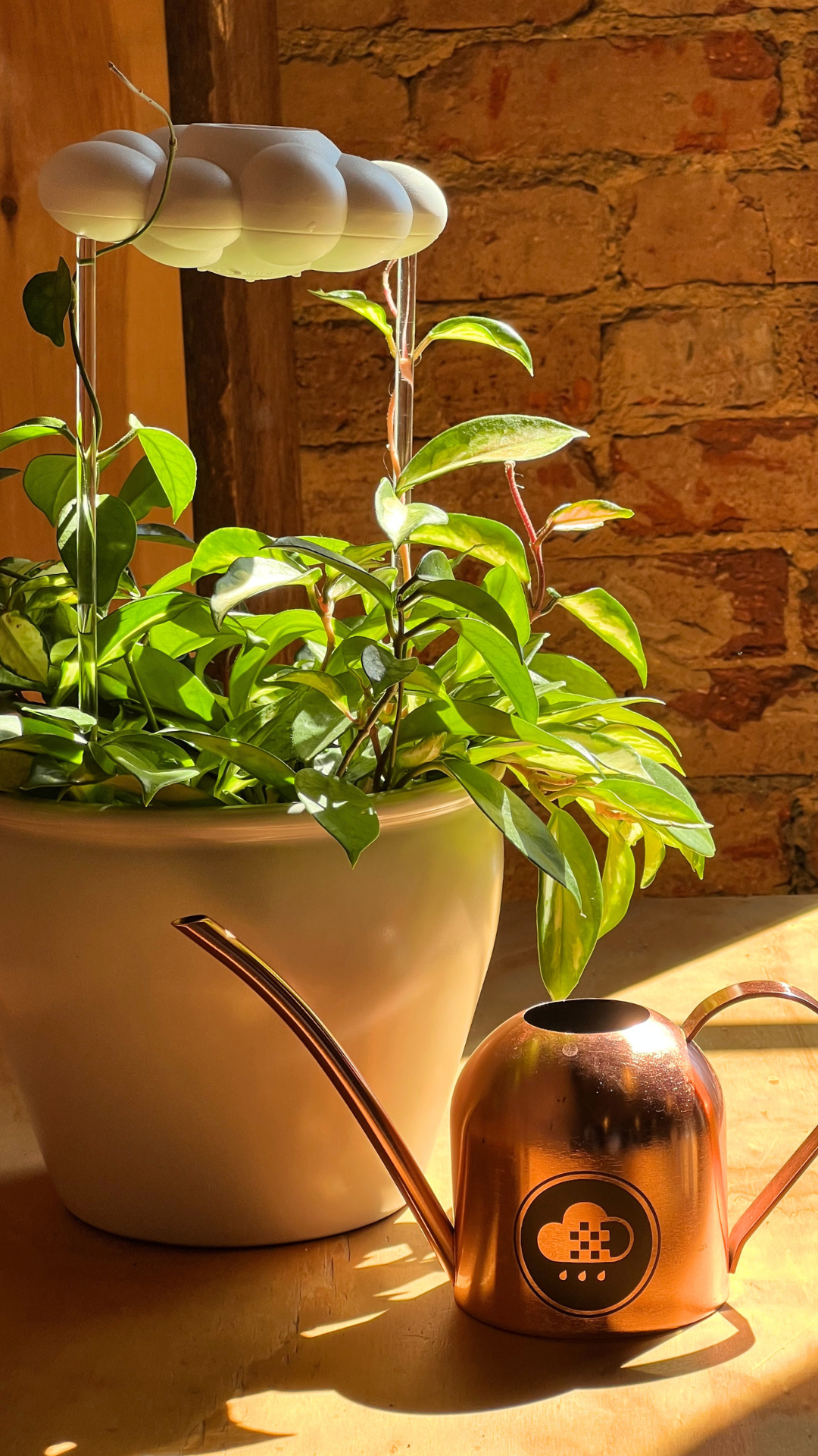 Watering Can (wholesale)