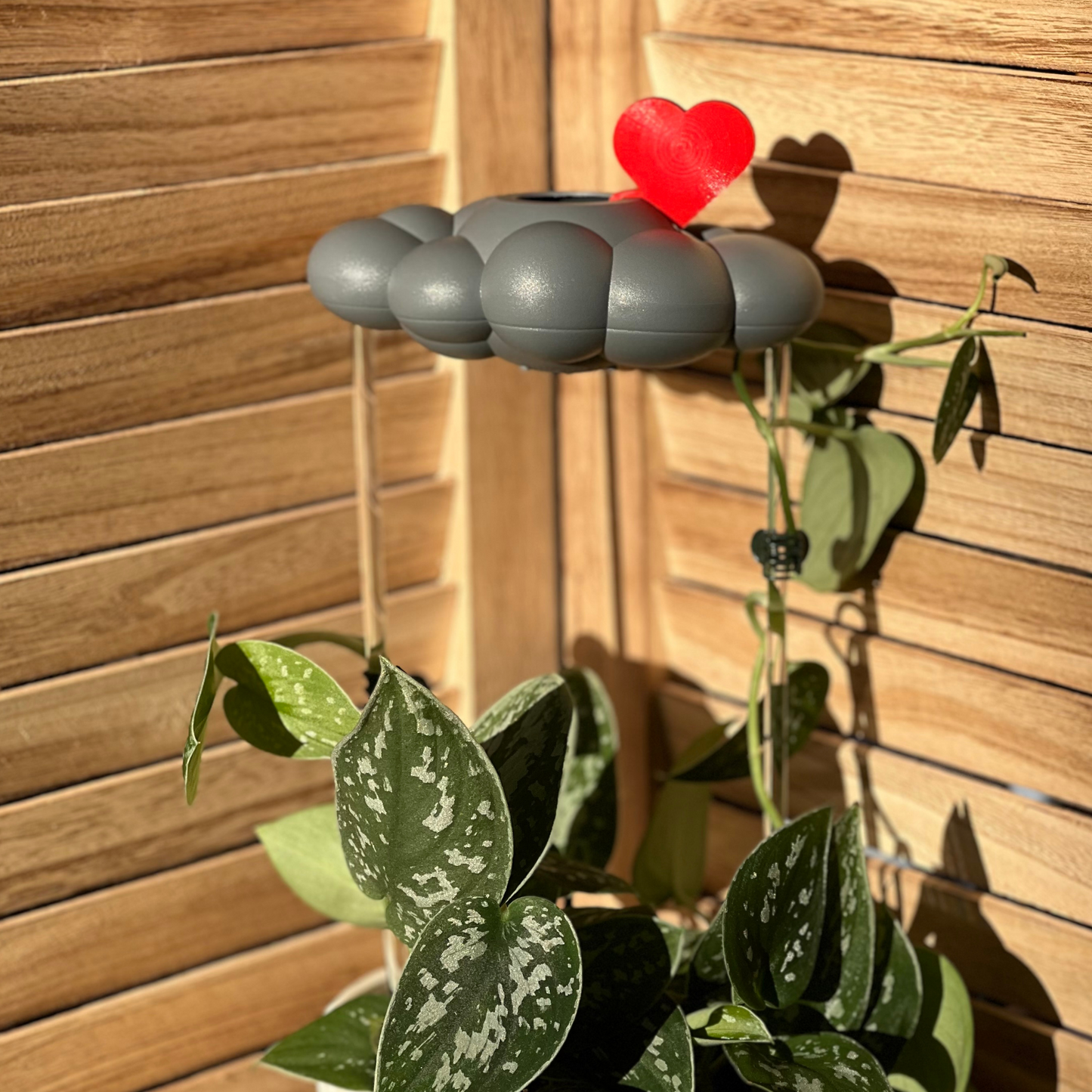 Red Heart Charm for dripping rain cloud