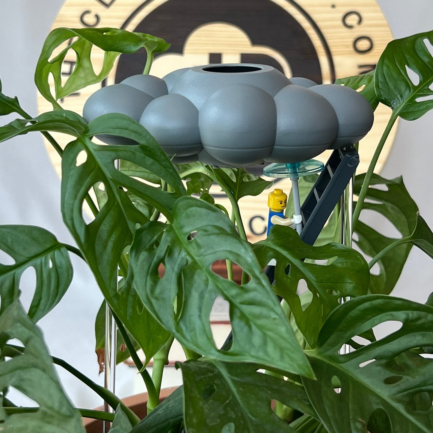 Stormy dripping rain cloud by THE CLOUD MAKERS with ladder charm
