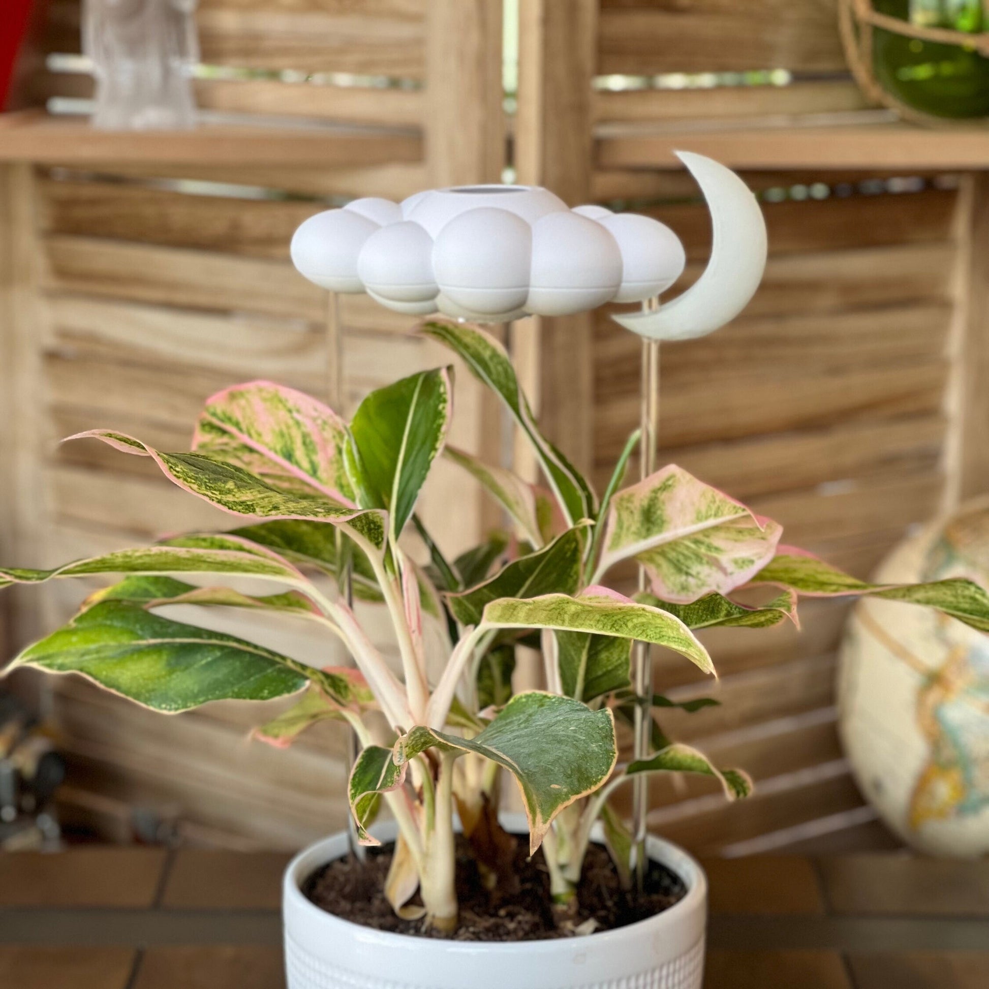 Original Dripping Rain cloud with glow in the dark moon charm