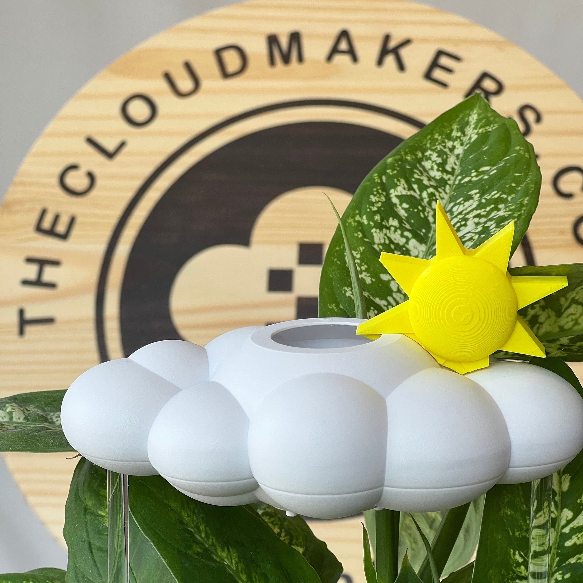 Original Dripping rain cloud with sun charm