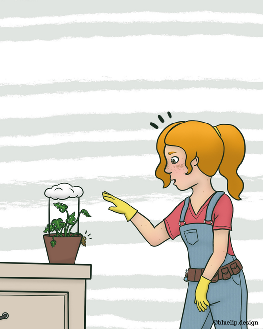 Coming out of Winter with your Plants