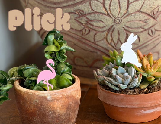 Plant Decor With Personality: The Story of Our First Plick