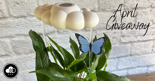 April Cloud Giveaway