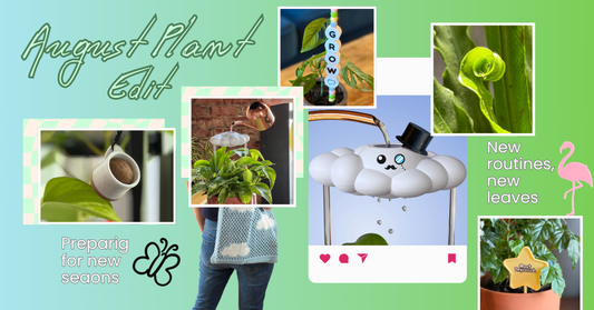 August Plant Edit: New Routines, New Growth