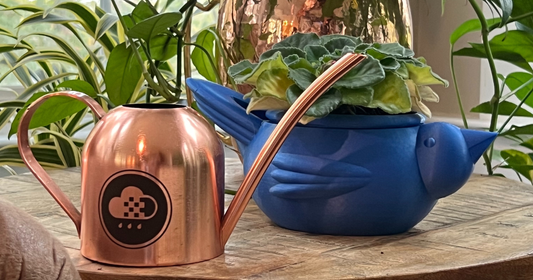 7 Watering Can Alternatives for Indoor Plants