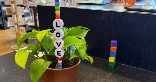 15 Plant Lover Gift Ideas They’ll Use