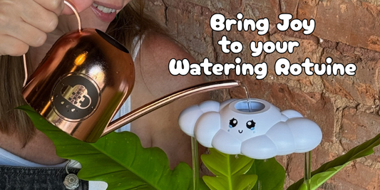 How a Little Rain Cloud Helped People Become Better Plant Parents