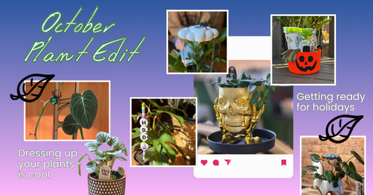 October Plant Edit