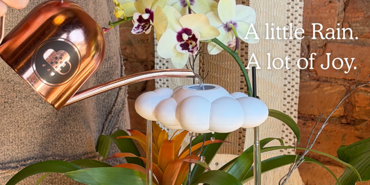 Finding Joy in the Plant Chores