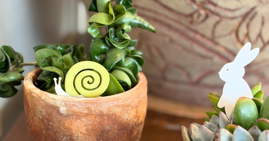 Whimsical Home Decor for Plant Lovers