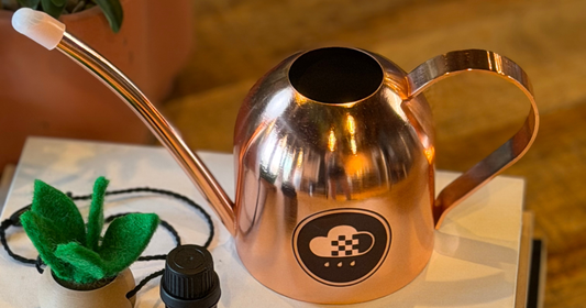 Best Watering Device for Houseplants?