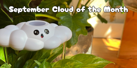Meet Cosmo: September Cloud of the Month