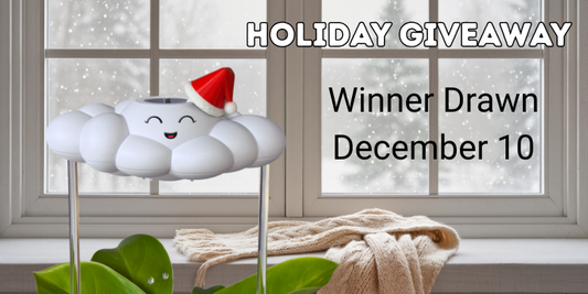 The Ultimate Gift Guide for Plant Lovers