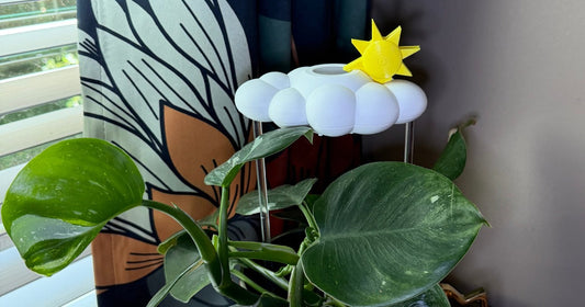 13 Unique Gifts for Plant Moms They’ll Use