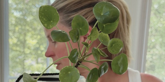 Why I’m Not a Plant Influencer (Even With 100+ Plants)