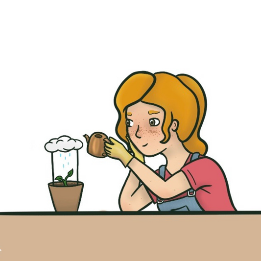 Mindful Plant Care: More Than Just Watering