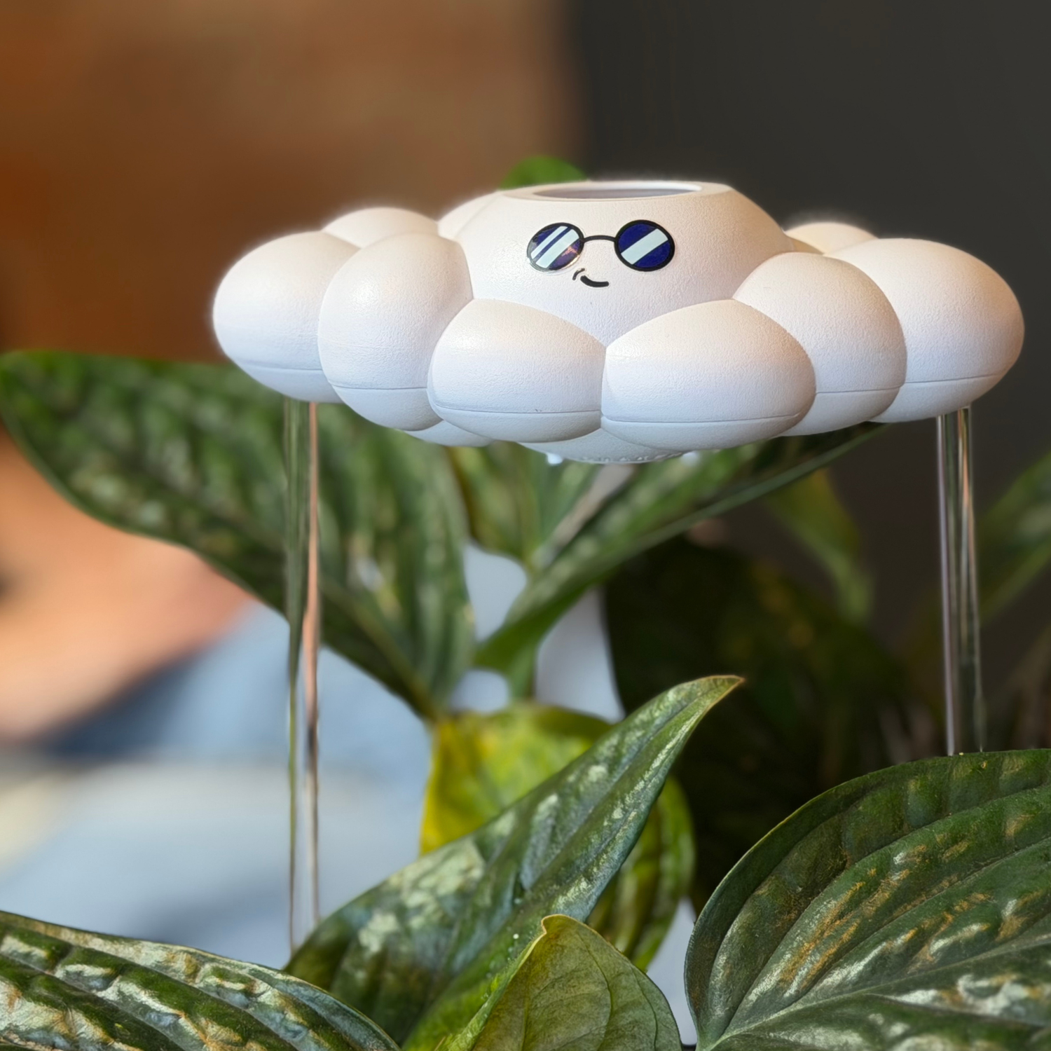 Dripping rain clouds by THE CLOUD MAKERS