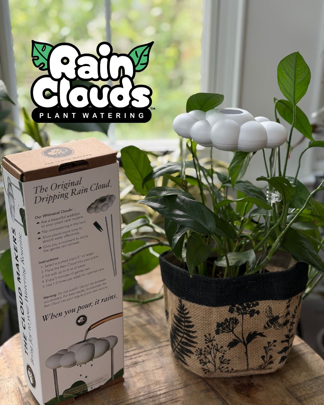 Rain Clouds