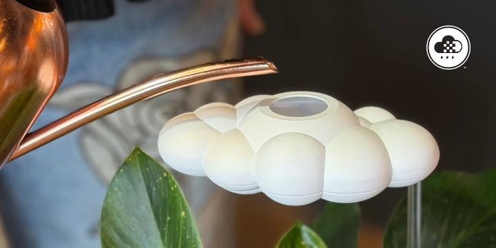 Wholesale Collection