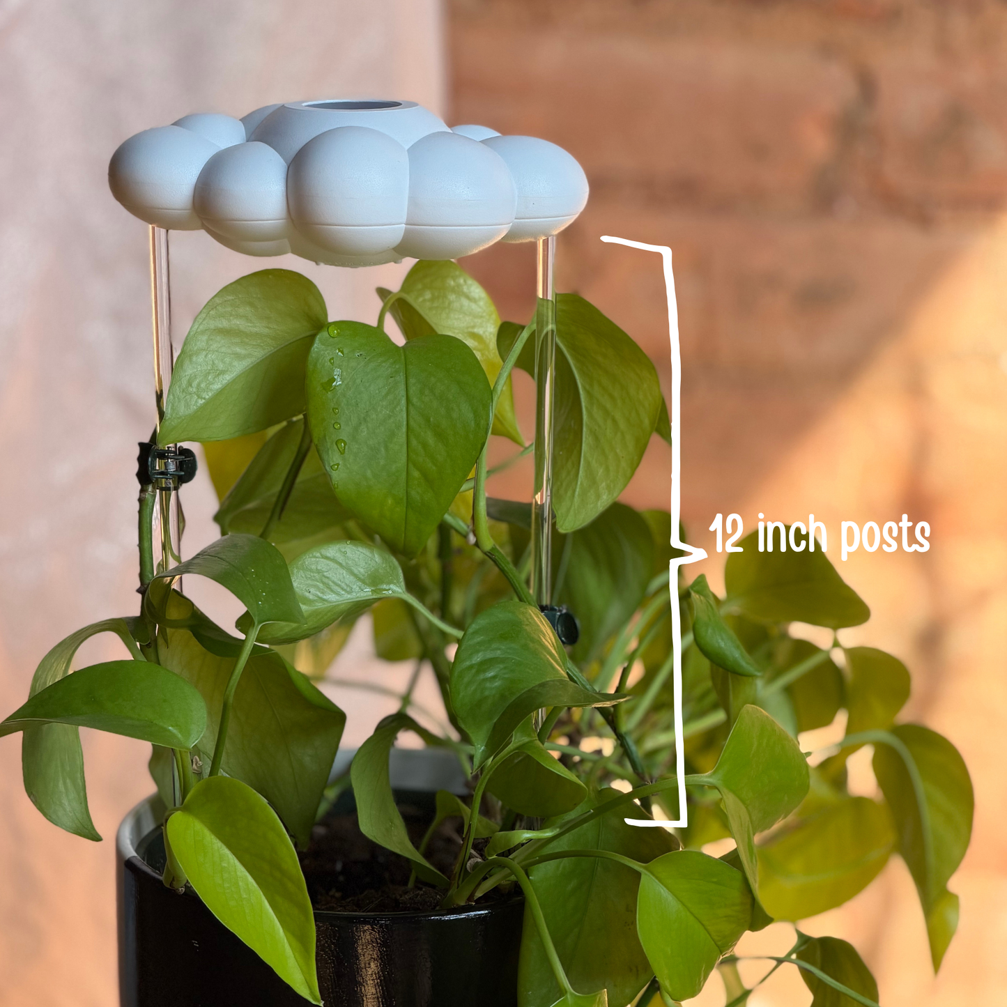 Original Dripping Rain Cloud labeled '12 inch posts' text against a blurred background