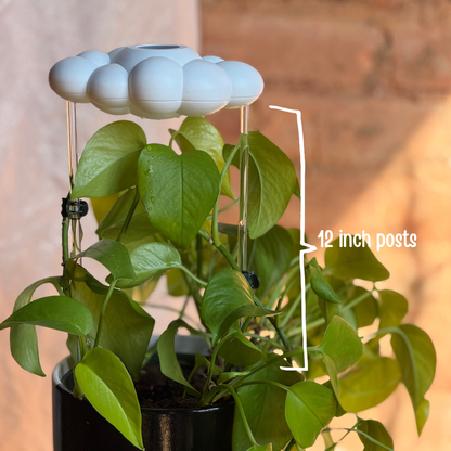 Original Dripping Rain Cloud labeled '12 inch posts' text against a blurred background