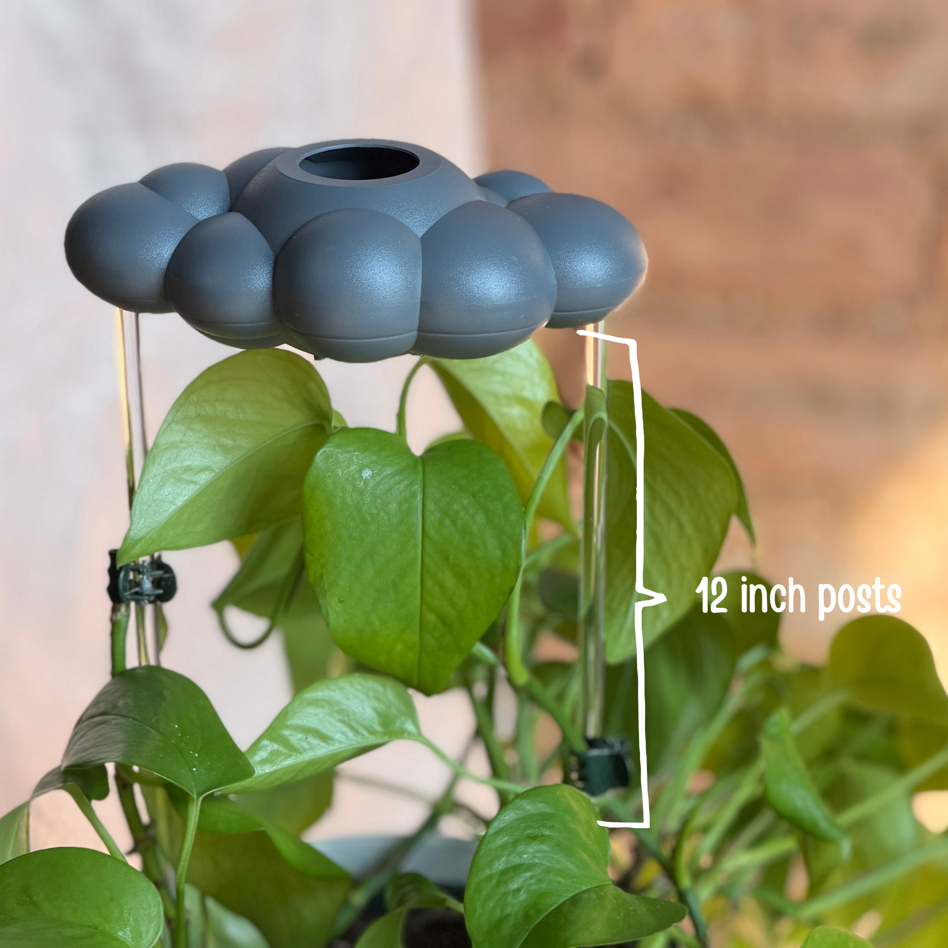 Stormy DrippingRain CLoud labeled "12 inch posts"