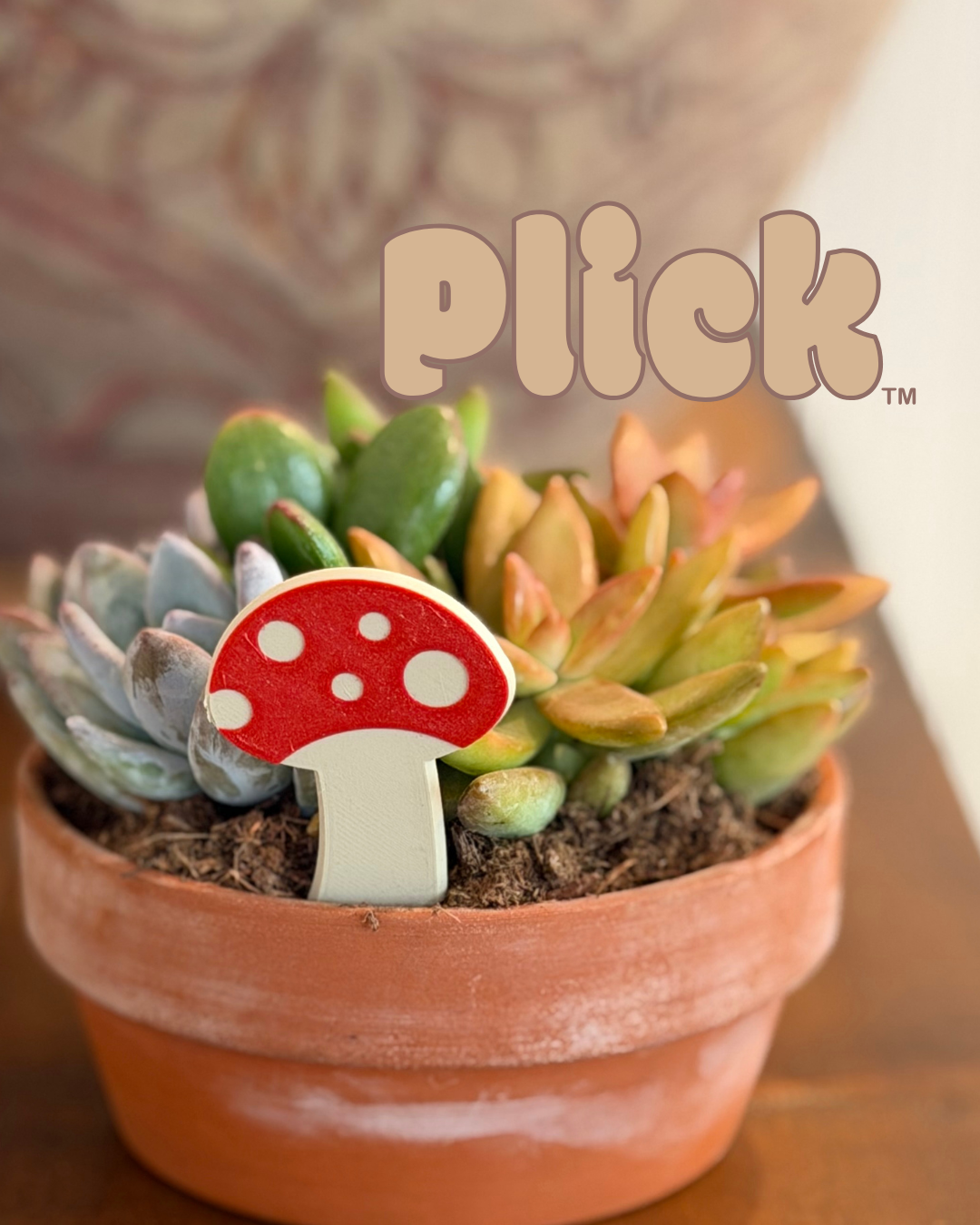 Potted succulents with Mushroom Plick on a wooden surface, featuring the brand 'Plick'.