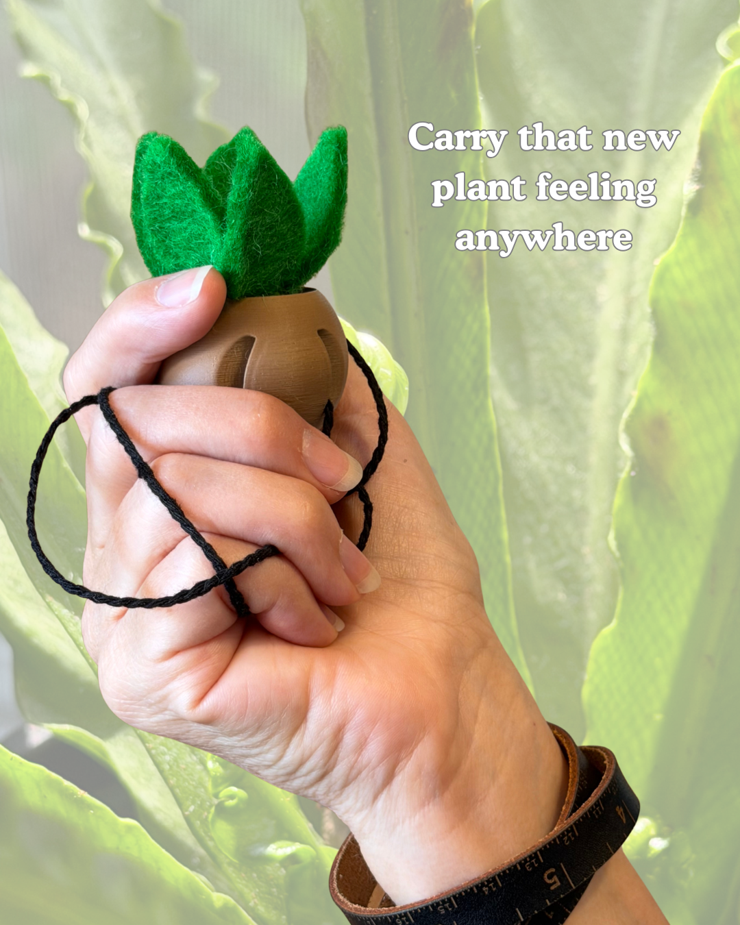 Sky Drops New Plant Smell Diffuser Set