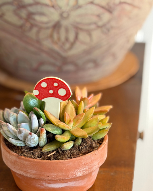 Potted succulent plant with a decorative mushroom plick on a wooden surface
