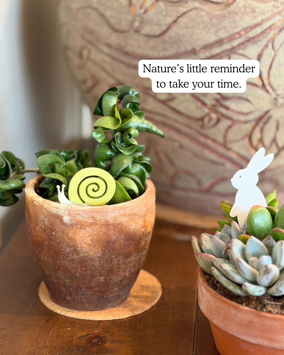 Two potted plants with decorative elements on a wooden surface, featuring text 'Nature's little reminder to take your time.'