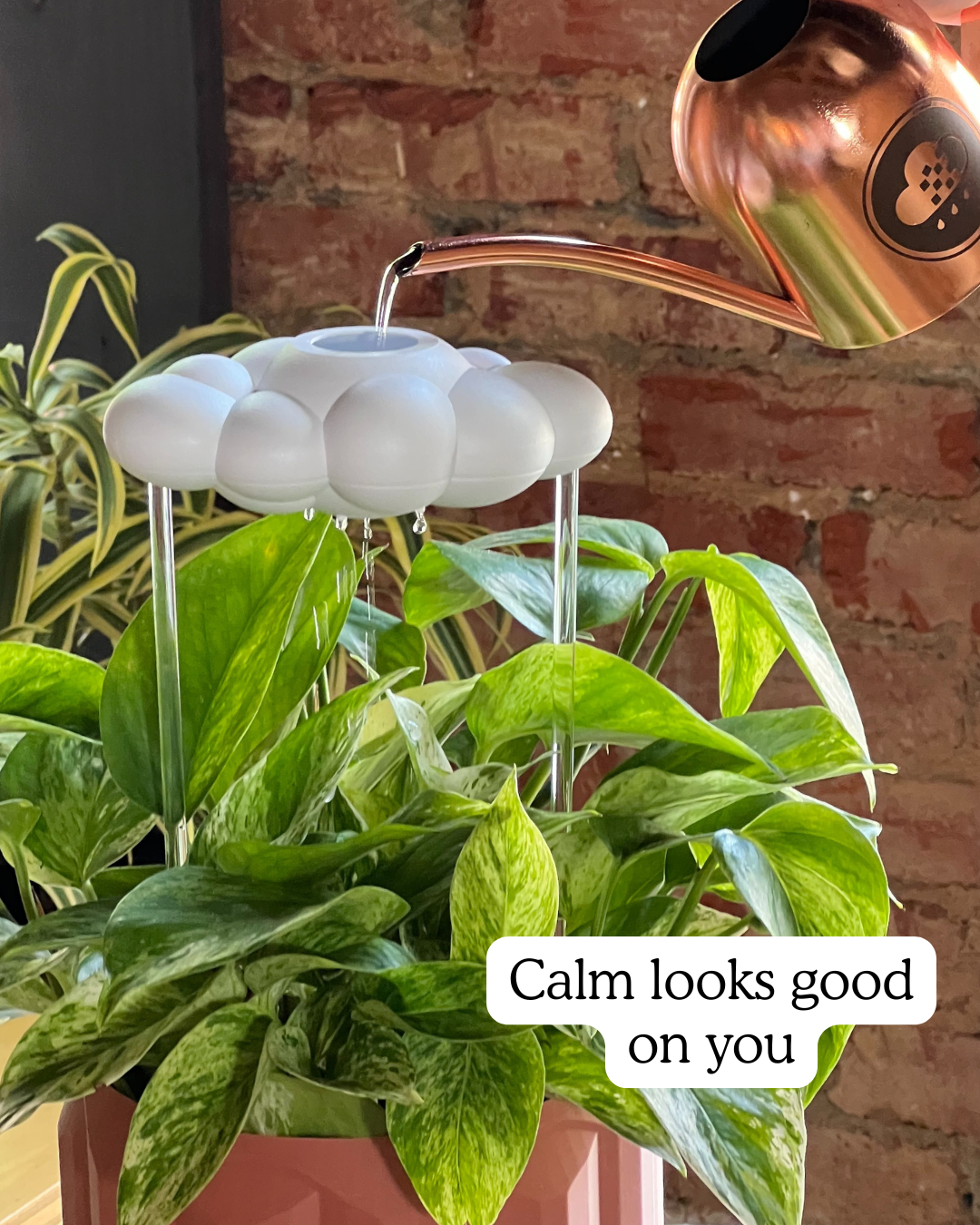 The Original Dripping Rain Cloud with Copper watering can being used on a potted plant with a brick wall background.