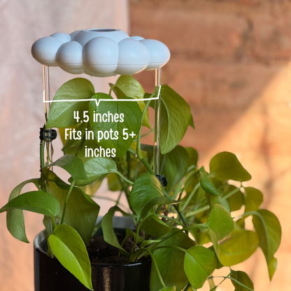 Original Dripping Rain Cloud with text label saying "4.5 inches Fits in pots 5+ inches"