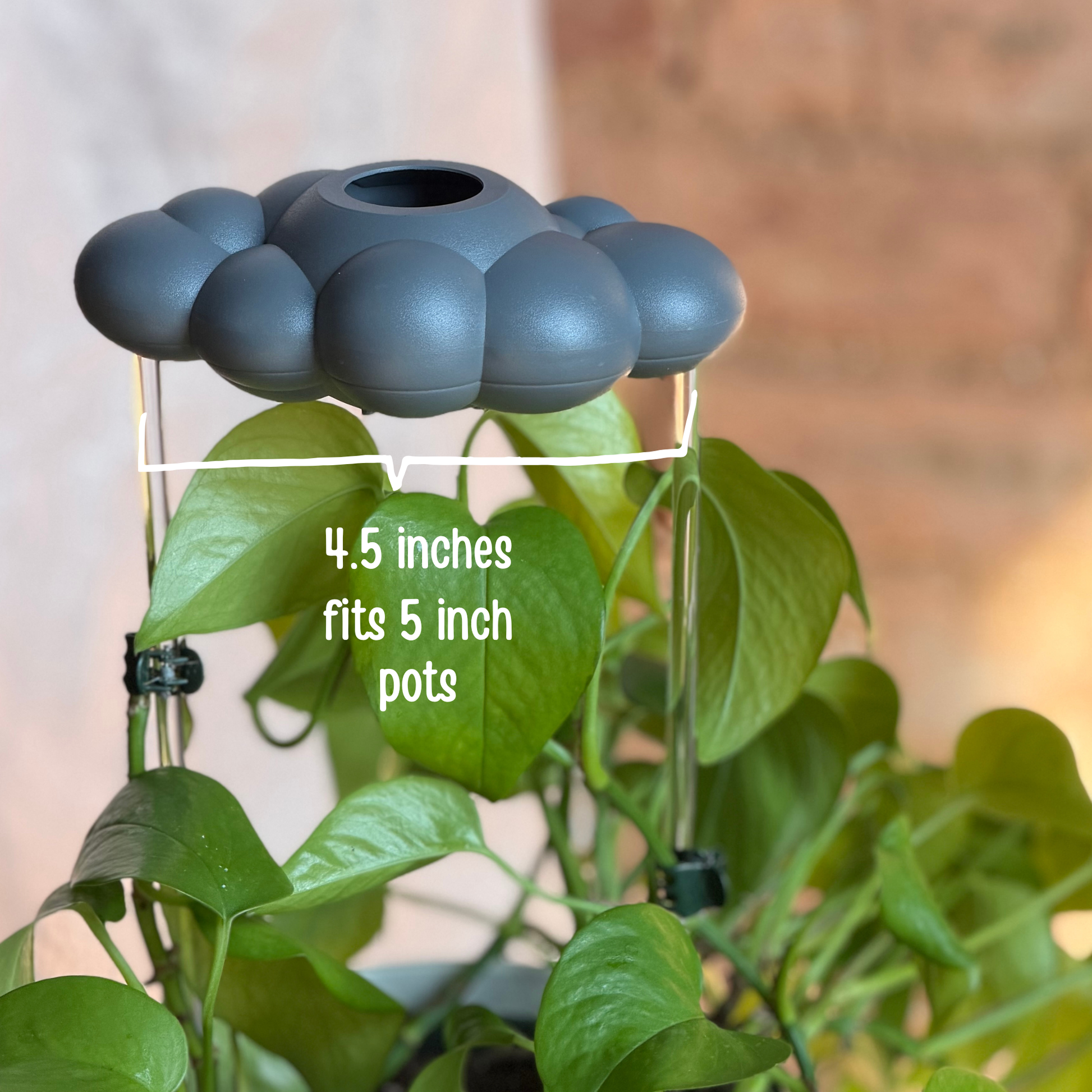 Stormy dripping rain cloud labeled 4.5 inches fits 5 inch pots