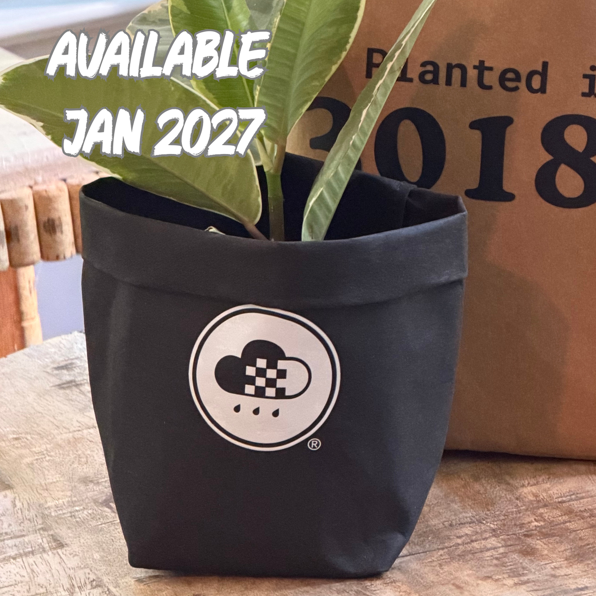 8 Inch Washable Paper Pot Covers