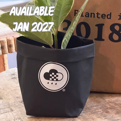 8 Inch Washable Paper Pot Covers