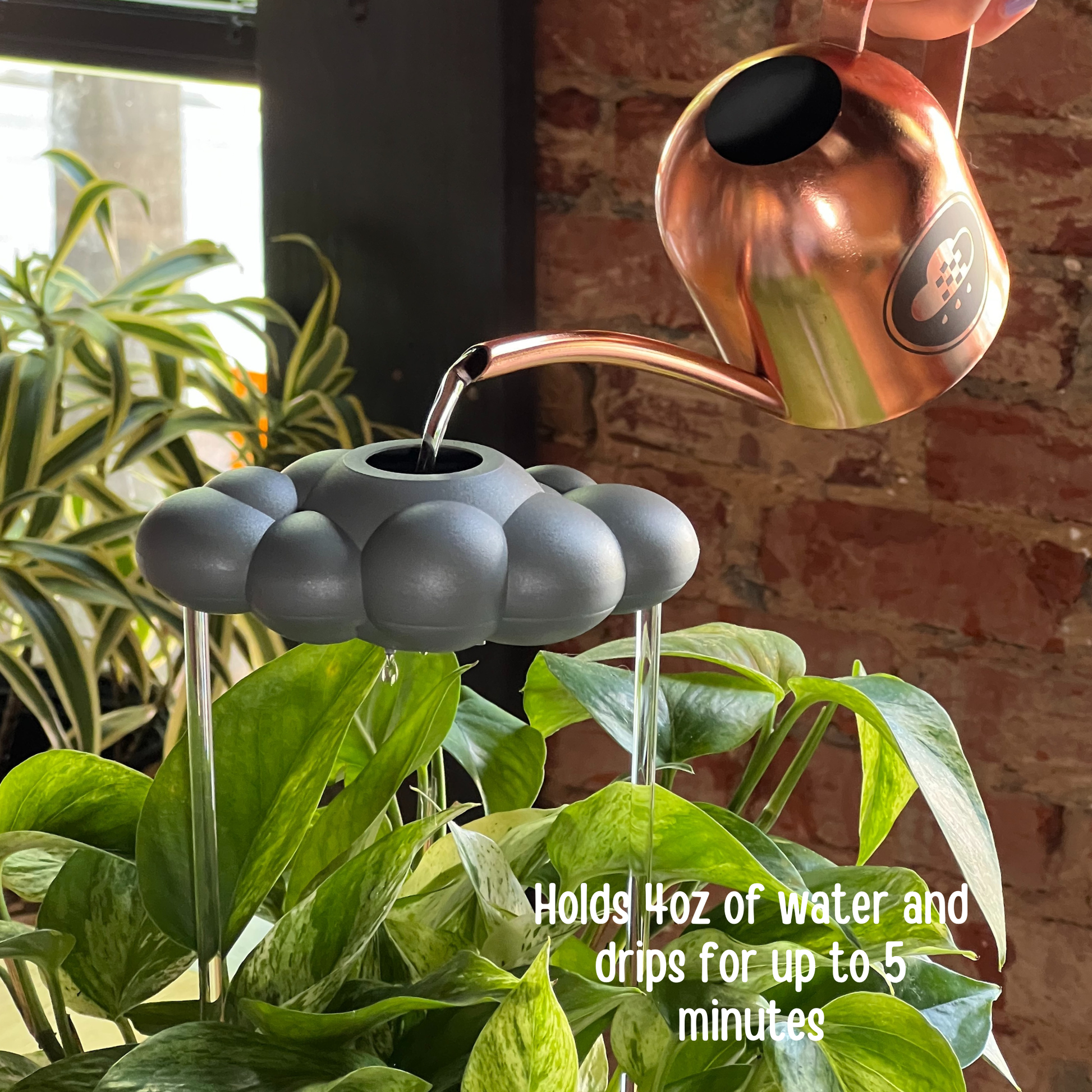 Copper watering can filling the stormy dripping rain cloud in a plant with text indicating water capacity and dripping duration.