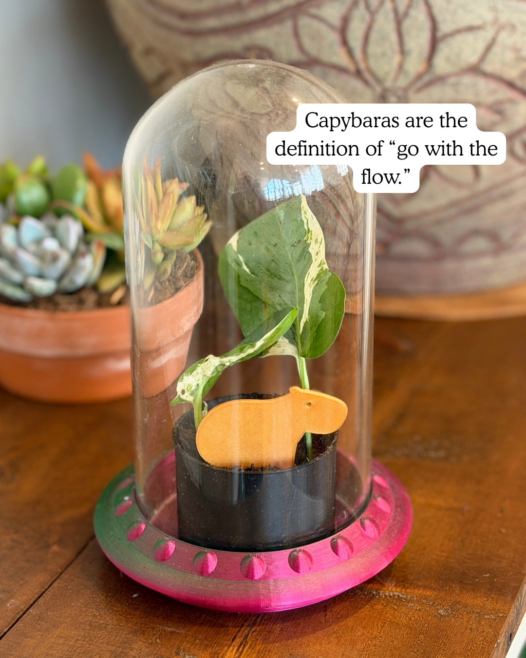 Capybara plick inside a glass dome with text on a wooden surface