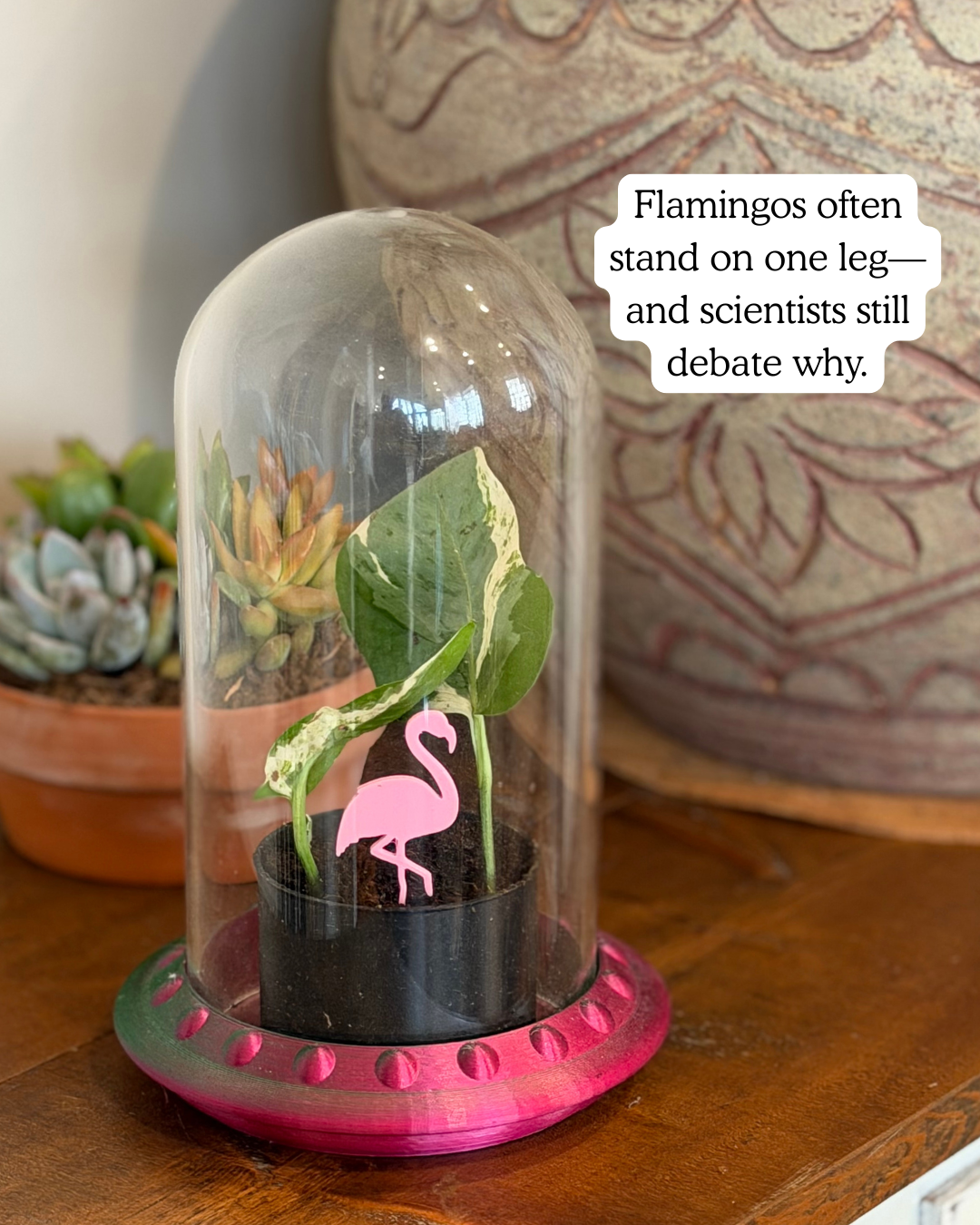 Flamingo Plick