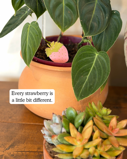 Potted plant with strawberry plick and text overlay